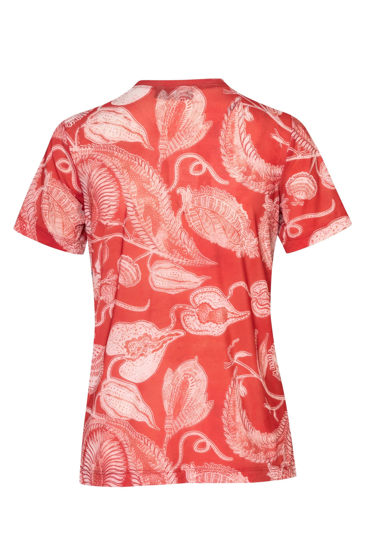 Camiseta Terra